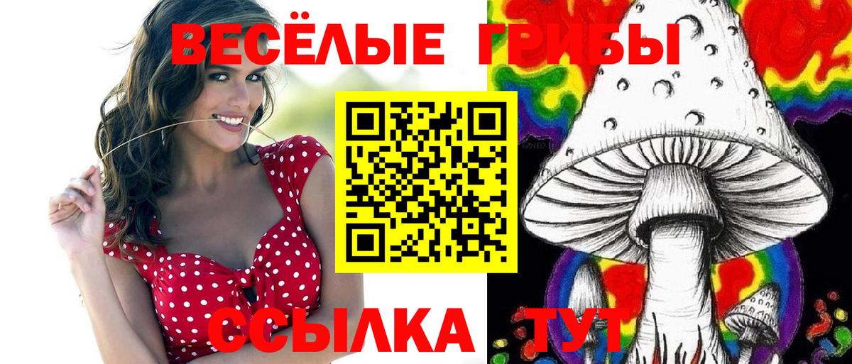 Галлюциногенные грибы Cubensis Бирск